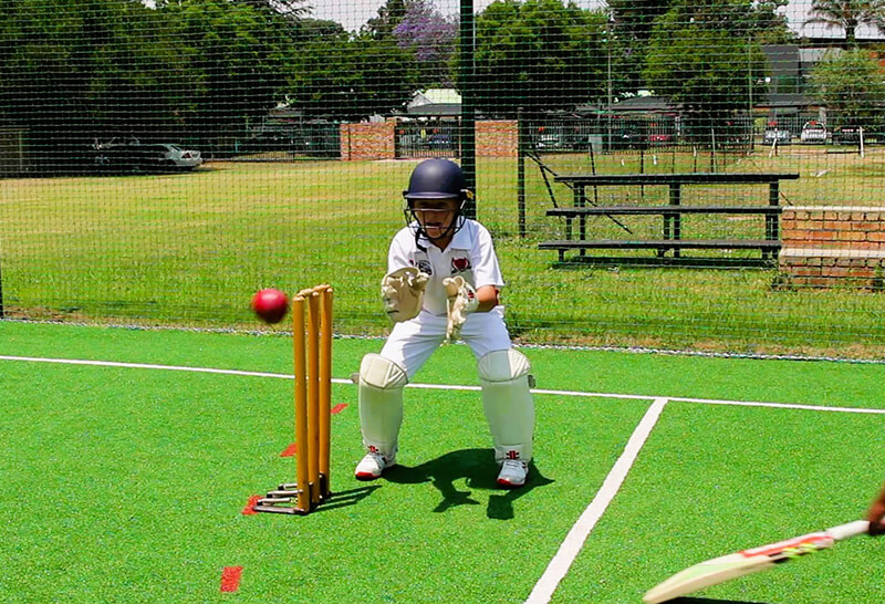 Rynfield Primary School - The School With Heart Cricket