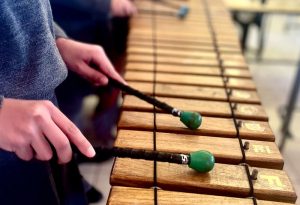 Rynfield Primary School - The School With Heart Marimba